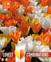 LILLESIBULATEKOMPL. TULP VALGE, KOLLANE JA ORANZ 20TK