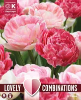 LILLESIBULATEKOMPL. TÄIDISÕIELINE TULP ROOSA MIX 12TK