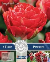 LILLESIBUL KAPITEYN HILINE TÄIDISÕIELINE TULP "PAMPLONA" 8TK PAKIS