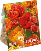 LILLESIBUL KAPITEYN TÄIDISÕIELINE TULP "SUNLOVER" 12TK PAKIS