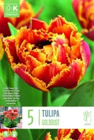 LILLESIBUL KAPITEYN TÄIDIS-NARMASÕIELINE TULP "GOLDDUST" 5TK PAKIS