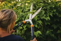 HEKIKÄÄRID SOLID HS21