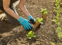 AIAKINDAD GARDENA 8/M VEEKINDEL NITRIILKATTEGA PEOPESA