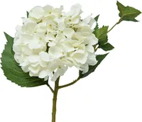 KUNSTLILL EVERLANDS HORTENSIA 46CM, VALGE
