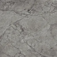 PÕRANDAPLAAT PRISSMACER ESS.GALES DARK 60,8X60,8CM 1,48M² PAKIS
