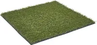 TERRASSIKATE ORYZON 2M WALNUT CREEK MAR(PO) 6672 OLIVE