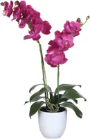 KUNSTLILL MICA ORHIDEE LILLA POTT 66X38CM, VALGE