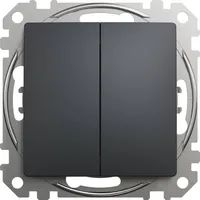LÜLITI 2-NE SCHNEIDER-ELECTRIC SEDNA DESIGN ANTRATSIIT