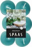 LÕHNASTATUD TEEKÜÜNAL SPAAS 4,5H MÜNDINE SAUN 12TK PAKIS