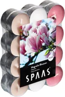 LÕHNASTATUD TEEKÜÜNAL SPAAS 4,5H MAGNOOLIA 24TK PAKIS