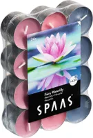 LÕHNASTATUD TEEKÜÜNAL SPAAS 4,5H VESIROOS 24TK PAKIS