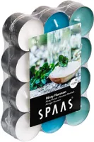LÕHNASTATUD TEEKÜÜNAL SPAAS 4,5H MÜNDINE SAUN 24TK PAKIS