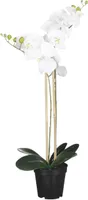 KUNSTLILL KUUKING MICA DECORATIONS POTIS 70X38CM VALGE
