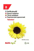SEEMNED BALTIC AGRO PÄEVALILL 'VALENTINE' HELEKOLLANE, 30S