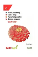 SEEMNED BALTIC AGRO PRUUDISÕLG 'GIANT CORAL' ROOSAD TÄIDISÕIED, 30S