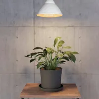 LED LAMP EGLO TAIMEDELE 16W E27 1700LM 2700K PAR38 KOLLANE