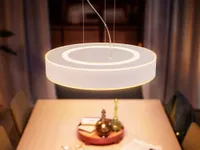 LAELAMP PHILIPS HUE ENRAVE 33,5W 4300LM 2200-6500K HUE VALGE
