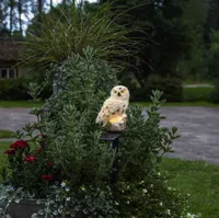 AIAVALGUSTI STAR TRADING SOLAR DEKORATSIOON OWL