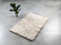VANNITOAVAIP RIDDER SAMMY 60X90CM BEEŽ PUUVILL 