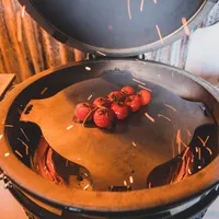 TEPPANYAKI PLAAT YAKINIKU LARGE
