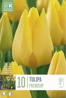 LILLESIBUL KAPITEYN TRIUMFTULP "FRIENDSHIP" 10TK