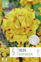 LILLESIBUL KAPITEYN TULP HILINE TOPELTÕIELINE "GOLDEN DANCELINE" 5TK