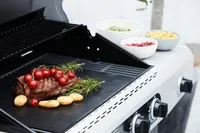 GRILLMATTIDE KOMPLEKT BARBECOOK 40X33CM, 2TK