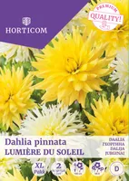 DAALIA LUMIERE DU SOLEIL 2TK