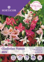 GLADIOOL NANUS MIX 20TK