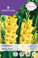 GLADIOOL NOVA LUX 7TK