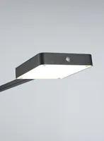 PÕRANDALAMP TRIO PAVIA 12W LED MATT MUST