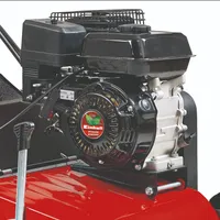 BENSIINI AERAATOR EINHELL GC-SC 4240 P