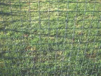 KEEVISVÕRK EXTRA STRONG 50X50 2,5MM 1800MM 25M RULLIS