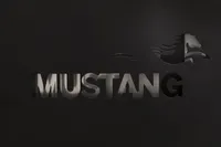 SÖEGRILL MUSTANG PATAGONIA