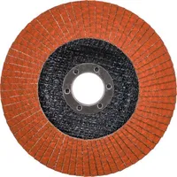 ABRASIIVLAMELLKETAS KWB KERAAMILINE, 125MM P80