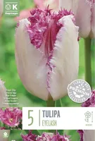NARMASÕIELINE TULP KAPITEYN "EYELASH" 5TK