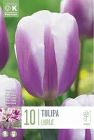 TRIUMFTULP KAPITEYN "LIBRIJE" 10TK
