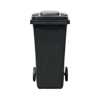 PRÜGIKONTEINER 120L MUST