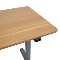 TÖÖLAUD ERGO LIGHT 1-MOOTORIGA 120X60CM HALL/TAMM