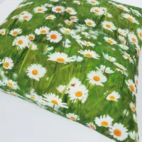 PADI HOLLY 45X45CM KARIKAKRAD