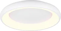 LAELAMP TRIO CARDONA LED 62CM 649616031 MATT VALGE