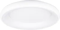LAELAMP TRIO CARDONA LED 62CM 649616031 MATT VALGE