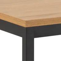 SÖÖGILAUD SEAFORD 160X80XH74CM, TAMM
