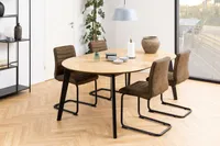 TOOL ZOLA PRUUN