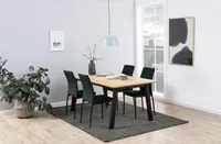 TOOL DEMINA ROHELINE