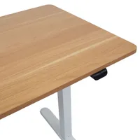 TÖÖLAUD ERGO LIGHT 1-MOOTORIGA 120X60CM