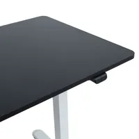 TÖÖLAUD ERGO LIGHT 1-MOOTORIGA 120X60CM,