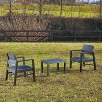 AIAMÖÖBLIKOMPLEKT KRAKA LAUD, 2 TOOLI