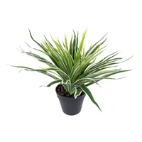 KUNSTTAIM GREEN GRASS H30CM
