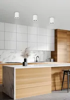 LAEVALGUSTI TRIO COOKIE GU10 MUST/VALGE